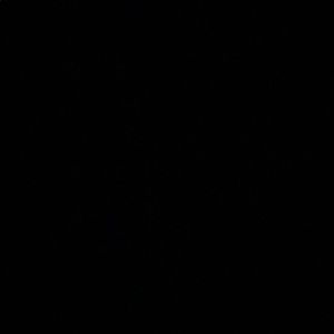 Meet your Posher, Callum